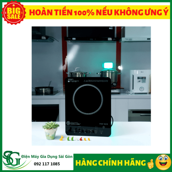 bếp hồng ngoại đơn