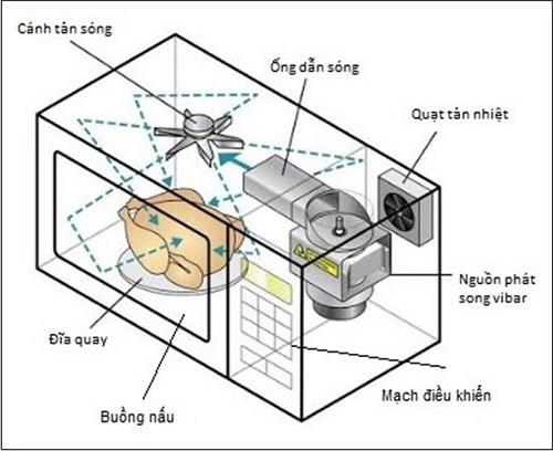 cấu tạo của lò vi sóng