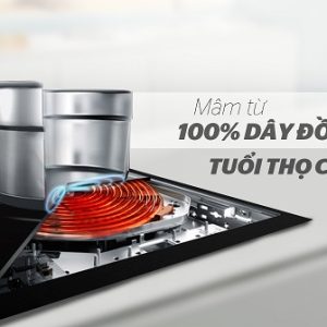 cấu tạo bếp canzy cz 08h